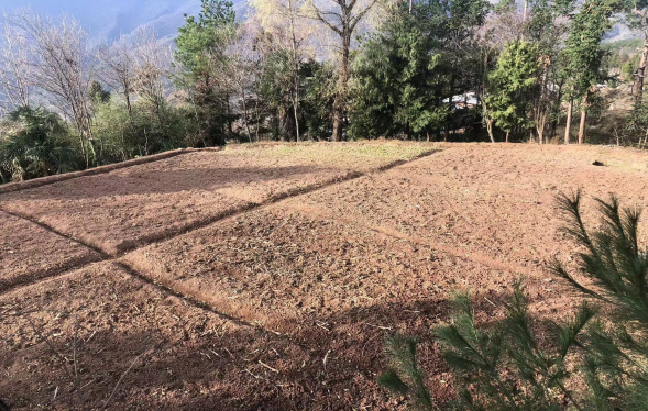 1673926259270226.jpg 微信圖片_20230117112925_副本.jpg